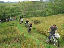 マウンテンサイクリングツアー